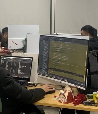 软件外包与自研 企业技术路径的战略抉择